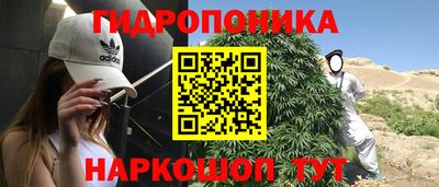 стаф Лесосибирск