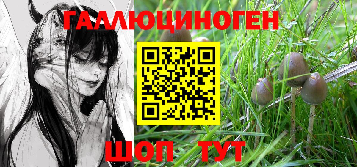 Ярославль  Псилоцибиновые грибы ЛСД  Вход с VPN 